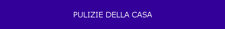 PULIZIE DELLA CASA